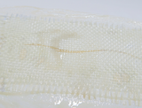 Fibre de verre tresser roving APP TS 400 – 010904 – vue 6